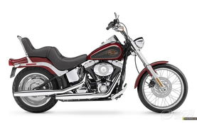 鋒范論壇圖片集錦