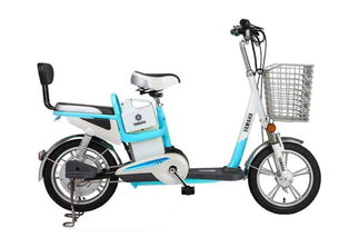 看完日本電動自行車上路標準,網友驚嘆 還是新國標電動車好