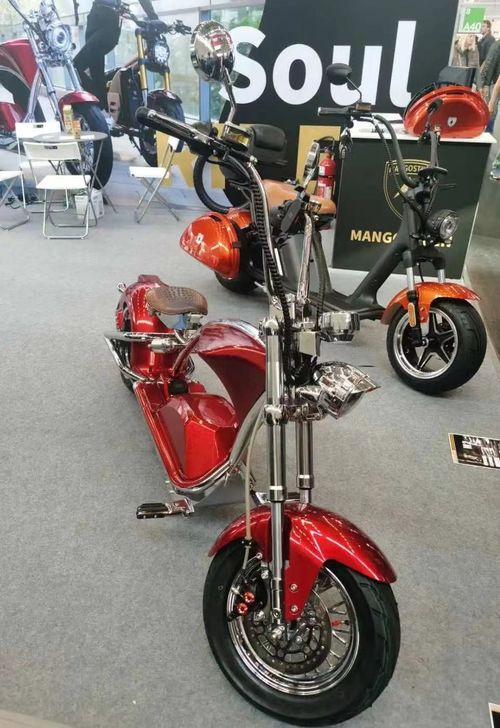 盤點那些墻內開花墻外香的兩輪電動車品牌