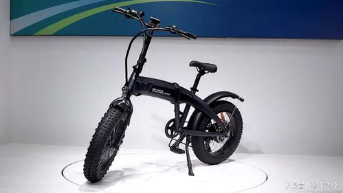 電動自行車,重返 二十歲