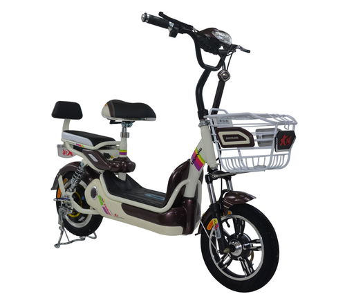 星火升級版價格及圖片 專賣店 參數 評論 全球電動車網