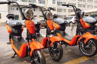 共享電動車 百科