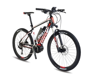 一篇文章讀懂電動助力自行車的前世今生