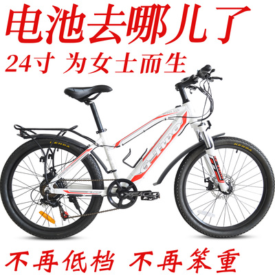 電動自行車的崛起 綠色出行的新選擇