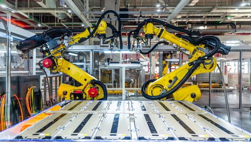 電動自行車在長三角 綠色出行的新潮流與挑戰